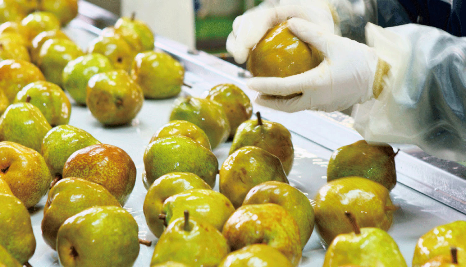 ラ・フランスの果実